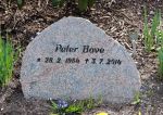Peter Bove.JPG